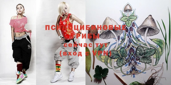 мяу мяу мука Абинск