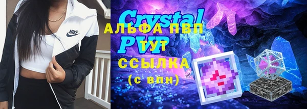 PSILOCYBIN Медвежьегорск